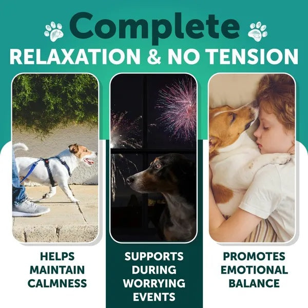 Organic Hemp Calming Chews for Dogs – Anxiety & Stress Relief (Duck Flavor)